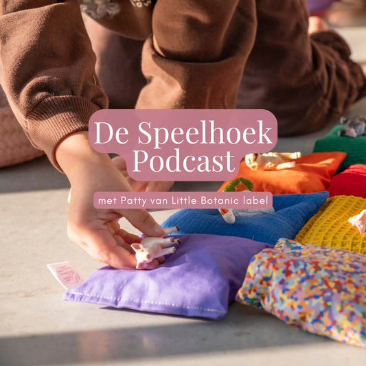 Podcast #06 Zo leg je open einde speelgoed uit aan familie en vrienden (zonder dat het een preek wordt)